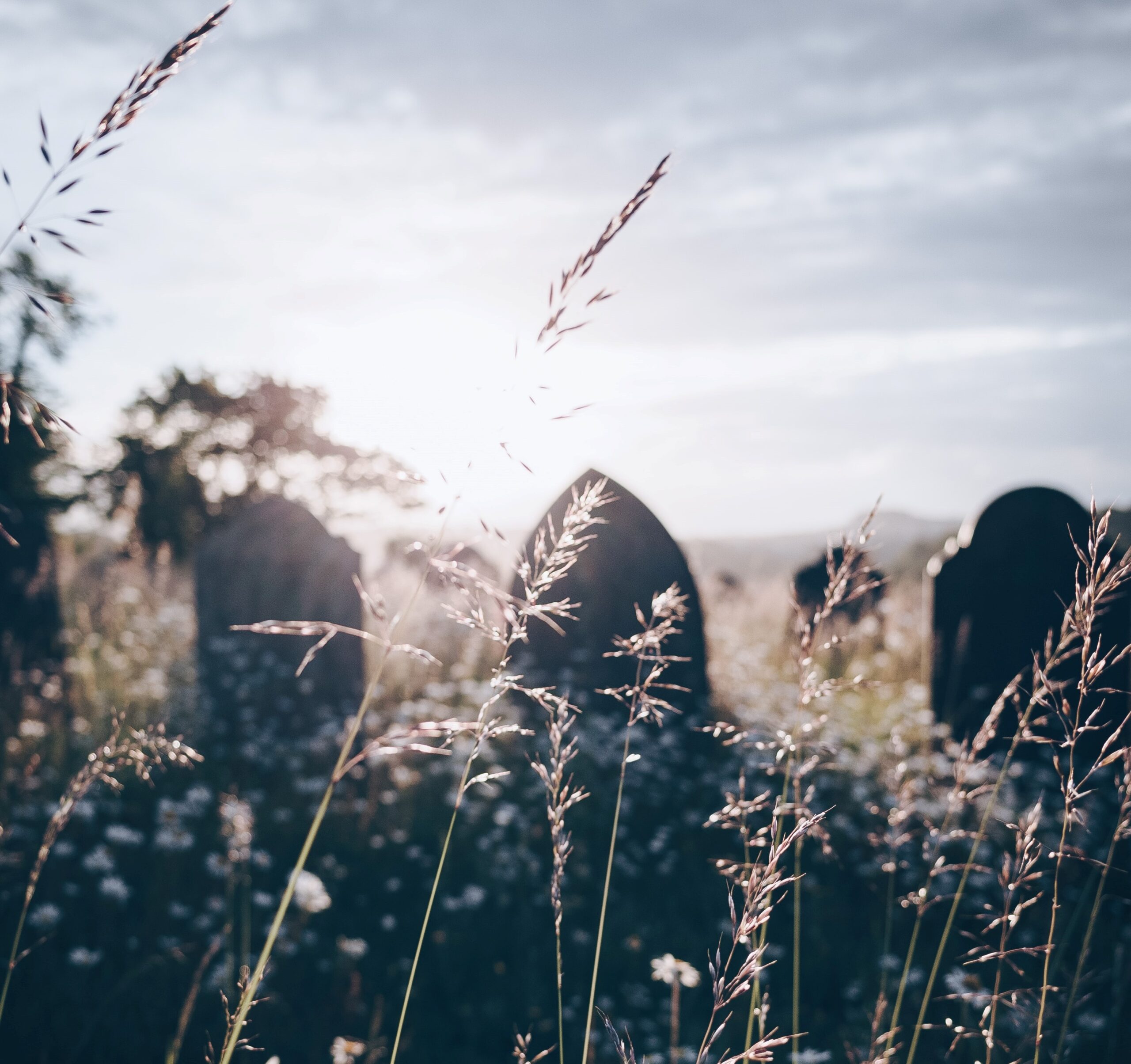 Read more about the article My anger at dietary guides that caused cancer